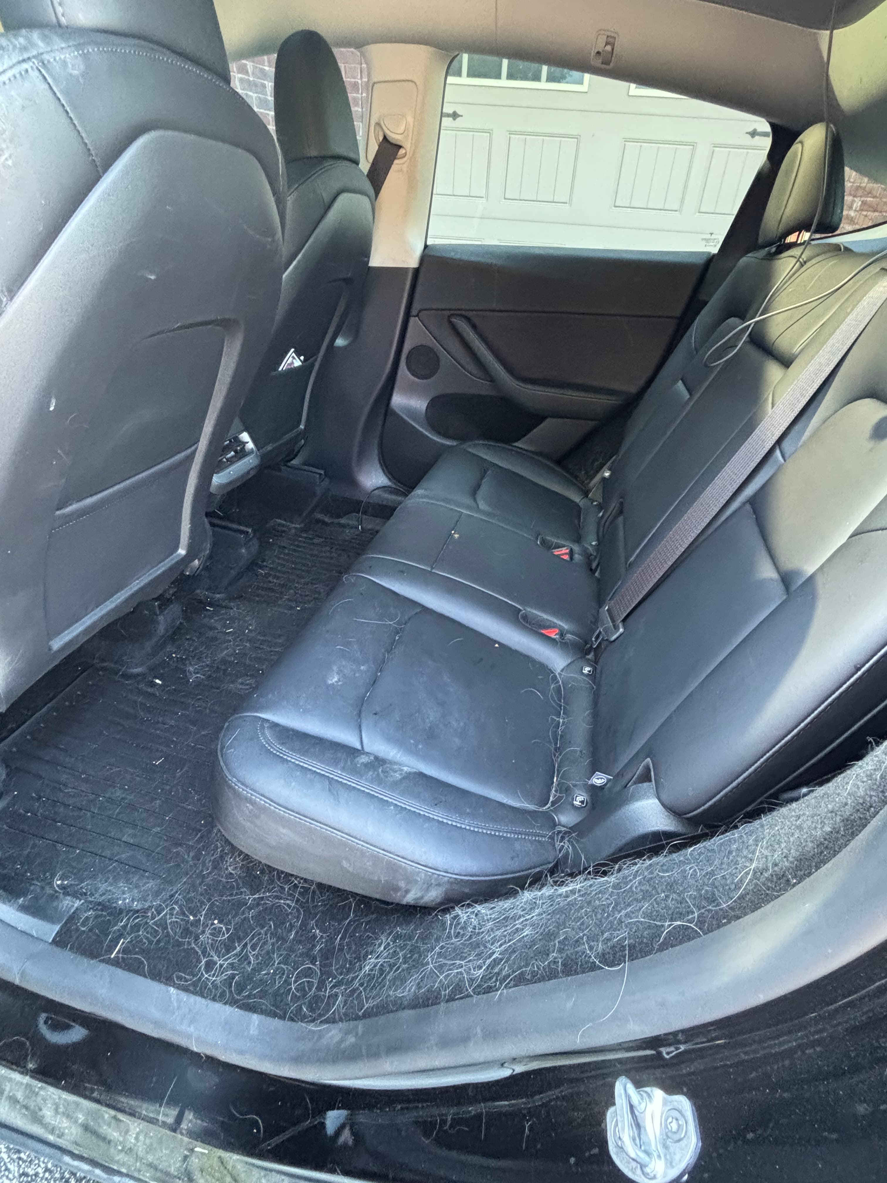 Truck after exterior detail